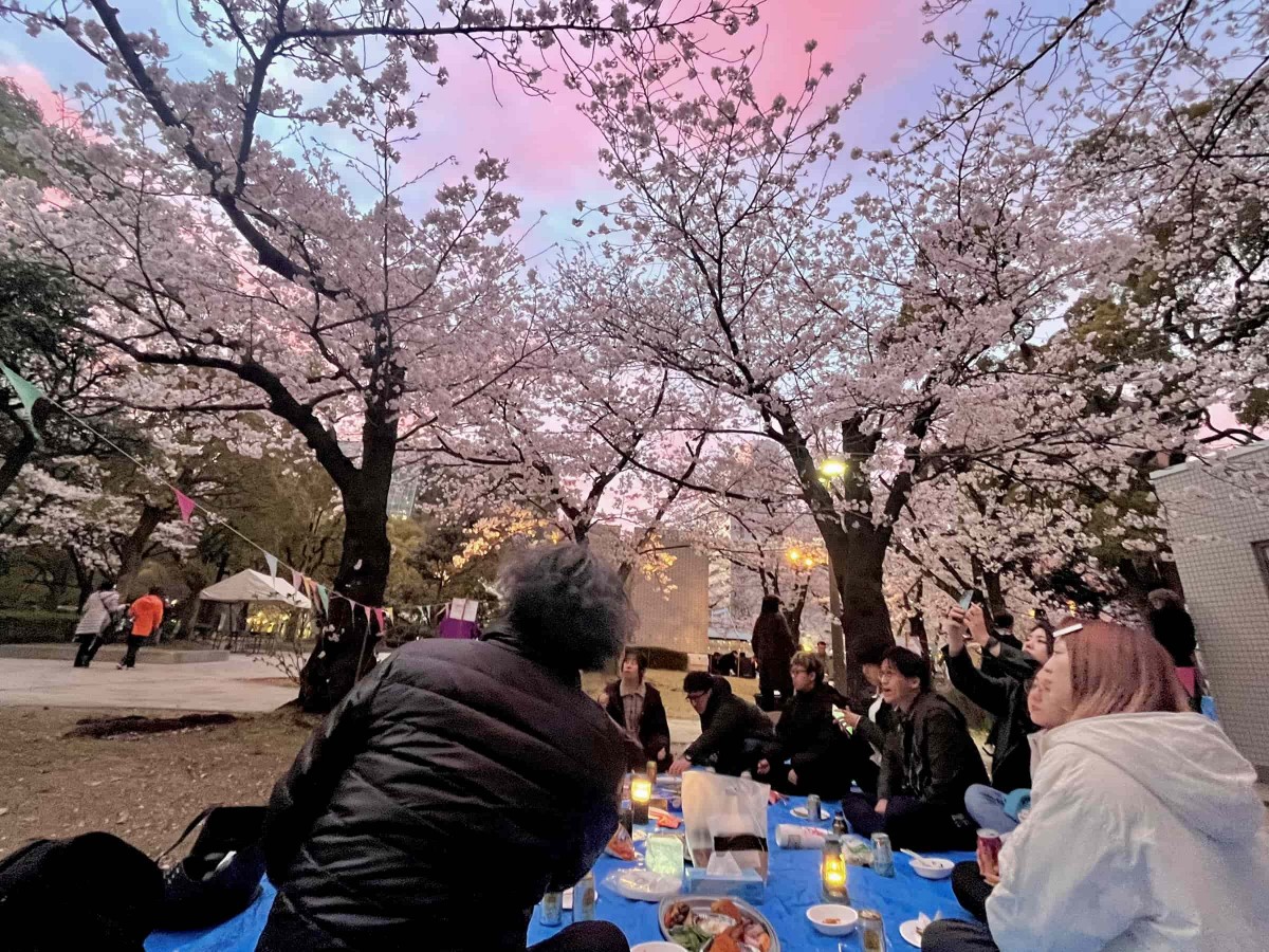 天神中央公園での花見の様子2