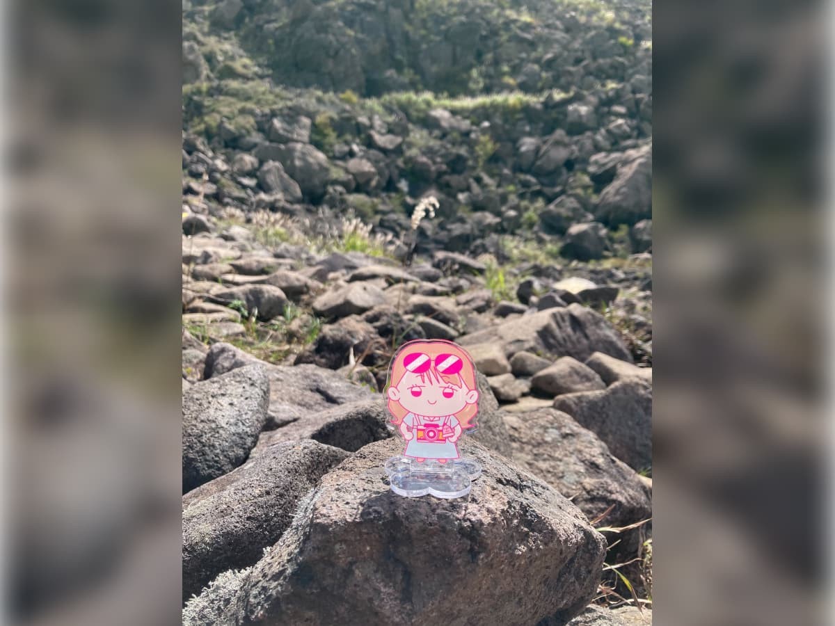 ゴロゴロした岩の上に乗せられたアクリルスタンドのヨネチ。背後にたくさんの岩が転がっている。