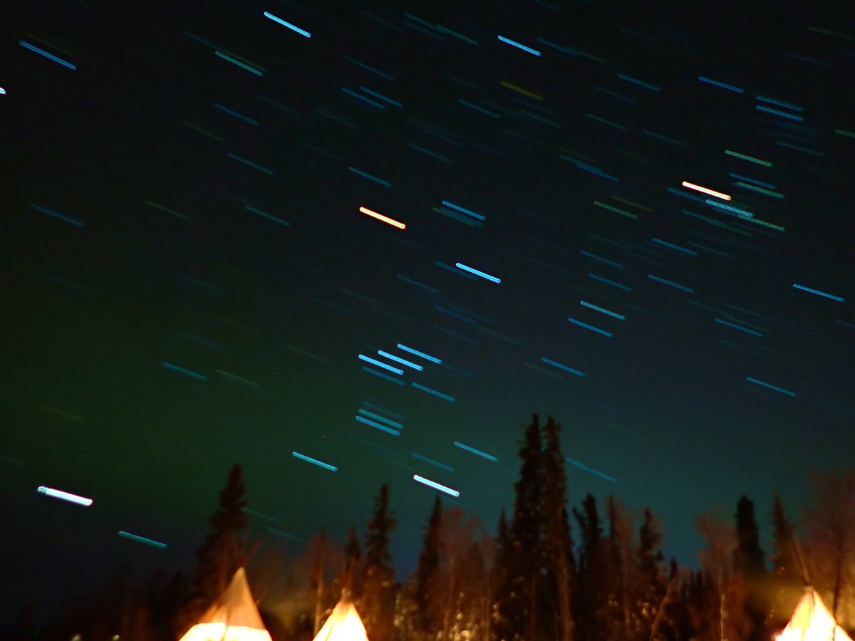 森の上空に、水色と金色のオーロラが浮かび上がっている。